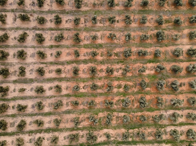 Aerial scenery view of nature