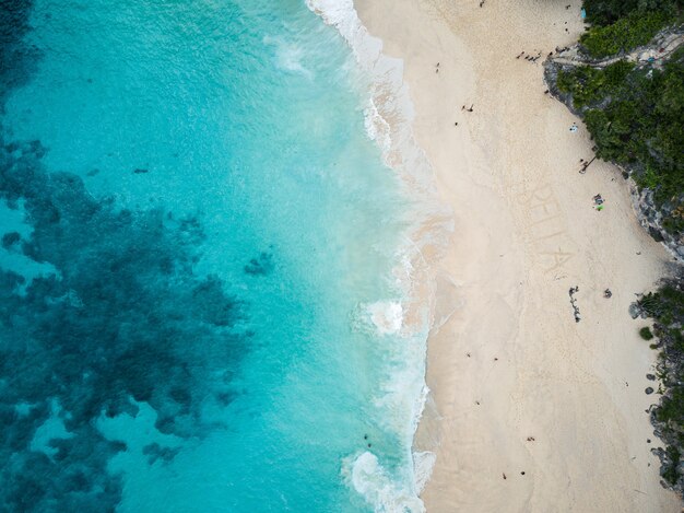 Aerial shot of the beach surrounded by greenery and the sea