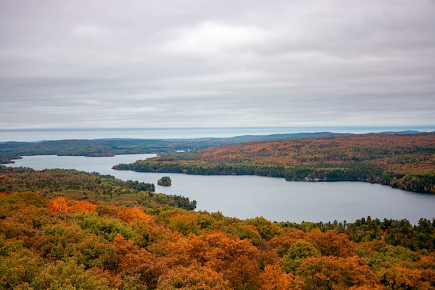 Aerial shot of a beautiful colorful forest with a lake in between under gray gloomy sky