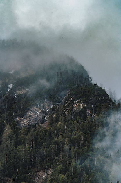 Aerial shot of beautiful dark foggy forest