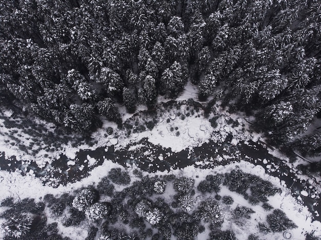 Free photo aerial shot of the beautiful snow-capped pine trees in the forest