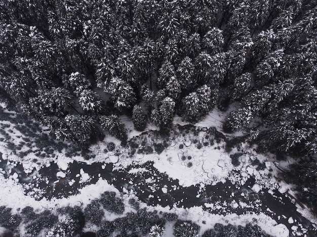 Free photo aerial shot of the beautiful snow-capped pine trees in the forest