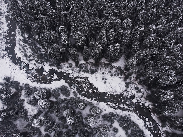 Free Photo aerial shot of the beautiful snow-capped pine trees in the forest