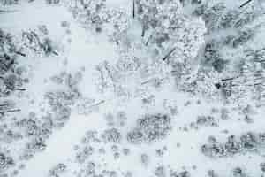 Free photo aerial shot of the beautiful snow-covered trees in a forest