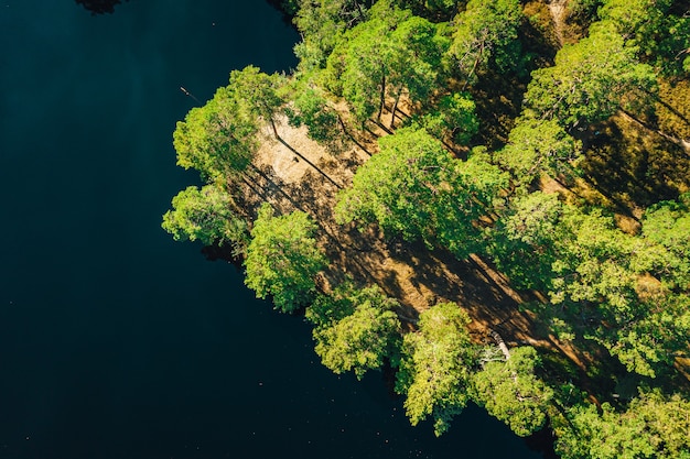 Free photo aerial shot of a calm lake surrounded by trees