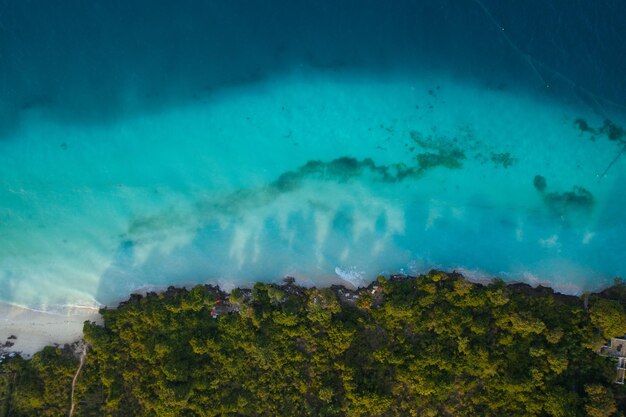 Aerial shot of coastline and seabed of Zanzibar Island Tanzania Africa