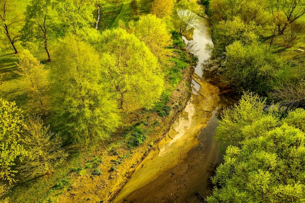 Free photo aerial shot of creek and trees during daytime