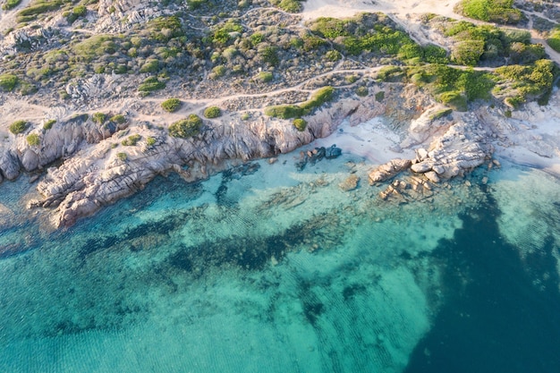 Aerial shot of a crystal clear blue sea surrounded by a seashore with trees