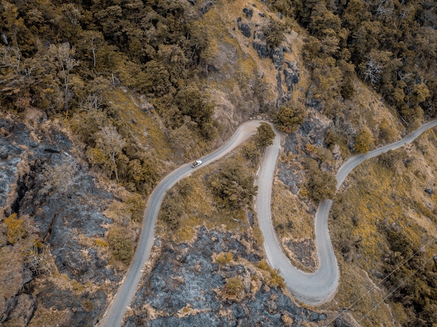 Free Photo aerial shot of a curvy road on the mountains with trees