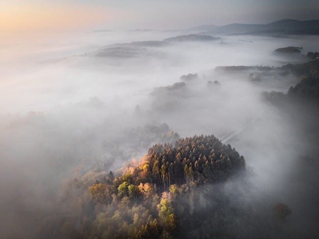 Free Photo aerial shot of a forested mountain srouned by fog, great fora background or a blog