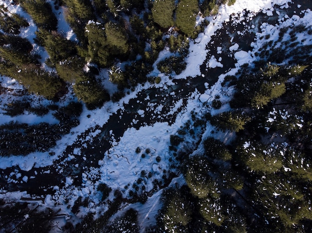 Free Photo aerial shot of a frozen river in the forest in winter