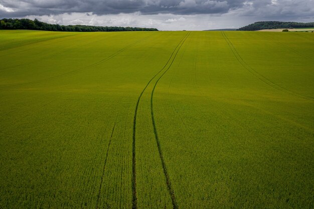 Aerial shot of a grassland under during a cloudy weather