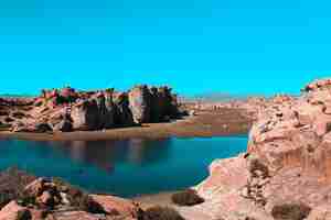 Free photo aerial shot of a lake on the middle of a desert on a sunny day