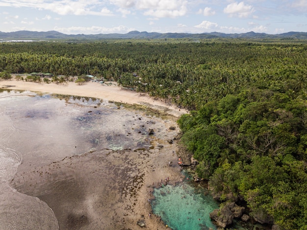 Aerial shot of an ocean coast with sandy beach and greenery on the foreground