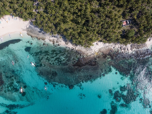 Free Photo aerial shot of an ocean coast with sandy beach and greenery on the foreground