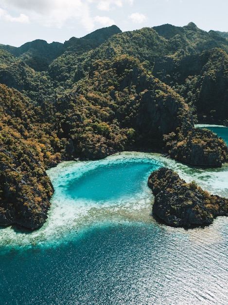 Aerial shot of the ocean surrounded by the mountains covered in greens