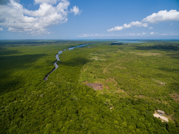 Free Photo aerial shot of a river going through a tropical green field captured in zanzibar, africa