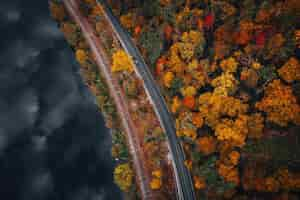 Free photo aerial shot of a road in a forest covered in yellowing trees surrounded by a lake