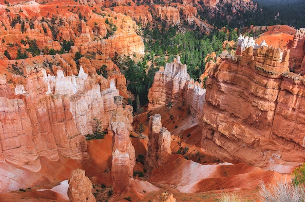 Free Photo aerial shot of a rocky mountain canyon with red soil and covered in evergreen forests