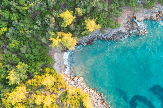 Free Photo aerial shot of the sea and forest in marmaris boncuk bay, turkey