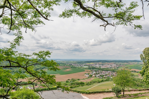 Free photo aerial shot of a small town surrounded with amazing nature on tree branches foreground