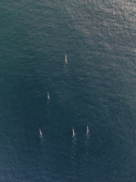 Free Photo aerial vertical shot of people in kayak boats paddling in a calm clear ocean water