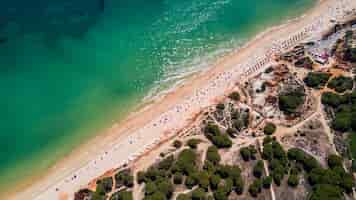 Free photo aerial view of algarve beach. beautiful falesia beach from above in portugal. summer vocation