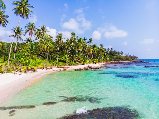 Aerial view of beautiful beach and sea with coconut palm tree