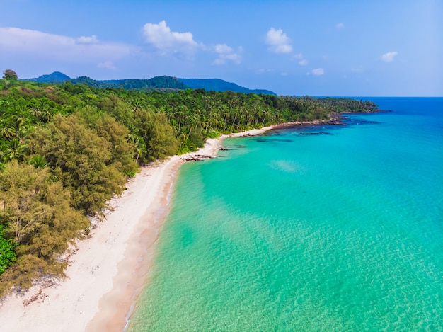 Aerial view of beautiful beach and sea with coconut palm tree