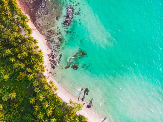 Aerial view of beautiful beach and sea with coconut palm tree