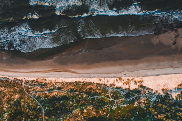 Free photo aerial view of the beautiful coastline with sandy beaches