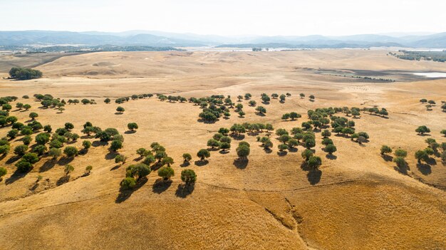 Aerial view of beautiful hills