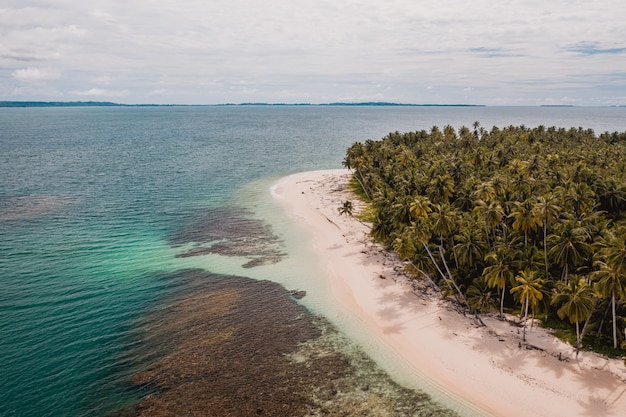 Free Photo aerial view of a beautiful tropical beach with white sand and turquoise clear water in indonesia