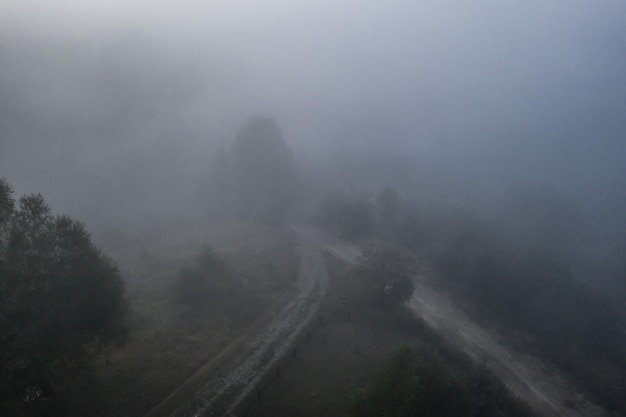 Free photo aerial view of colorful mixed forest shrouded in morning fog on a beautiful autumn day