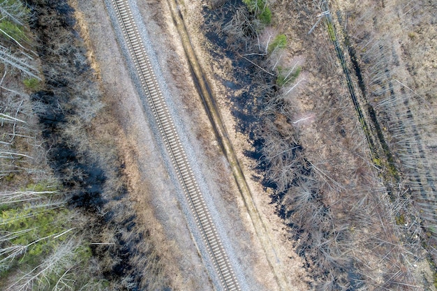 Aerial view  of a dense forest with bare autumn trees and an empty railroad track