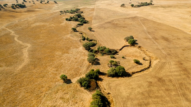 Free photo aerial view of dry land