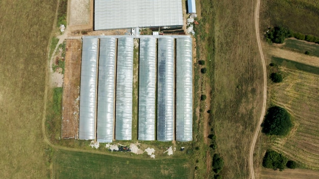 Free photo aerial view of empty agricultural hydroponics greenhouse plantation full with organic fresh salad during farming production ready for customer delivery. concept of agricultural