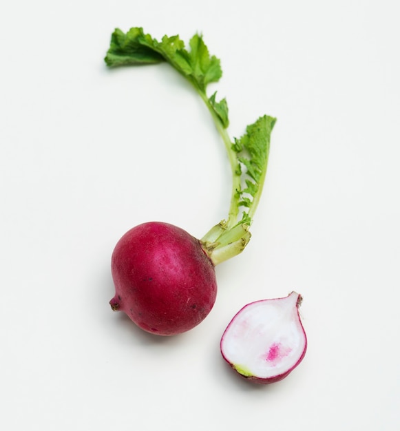 Aerial view of fresh radish on white background