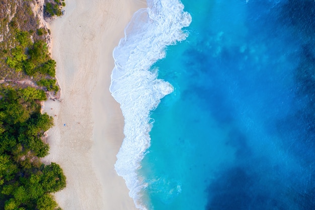 Free Photo aerial view of kelingking beach in nusa penida island, bali in indonesia