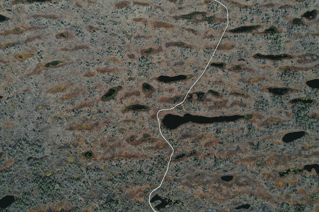 Free photo aerial view of lake area with vegetation