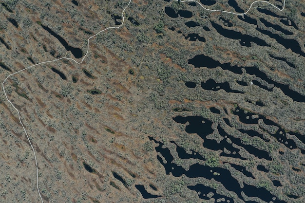 Free Photo aerial view of lake area with vegetation