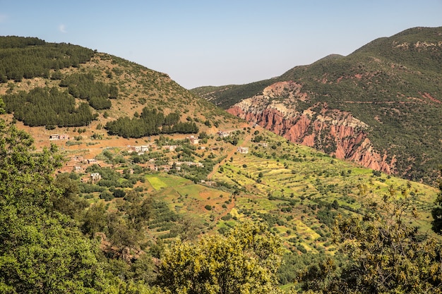 Free photo aerial view of mountains covered with trees and vegetation