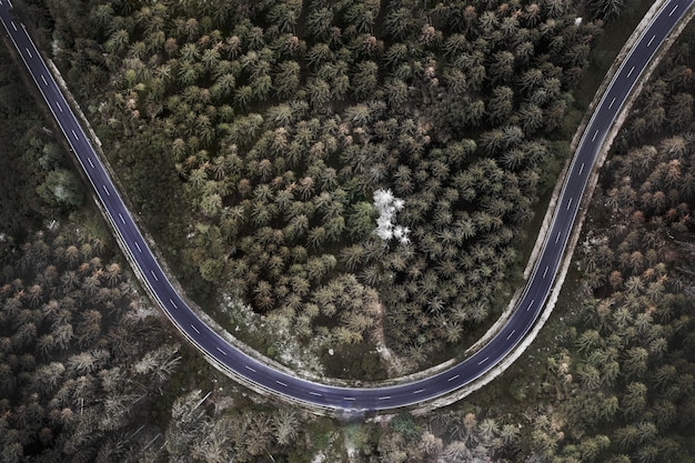 Free photo aerial view of a road among a mesmerizing dense forest