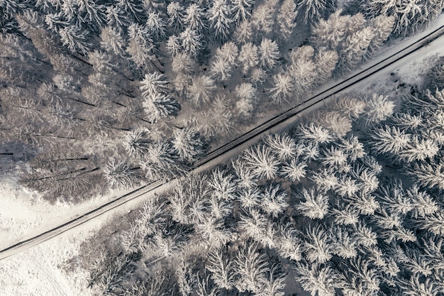 Free Photo aerial view of a road through trees in a winter forest