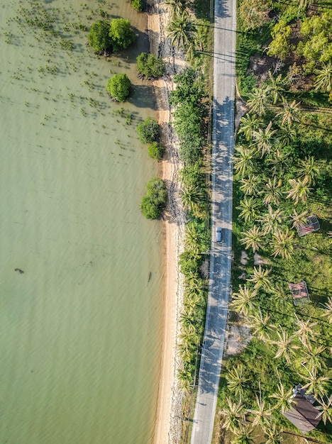 Free Photo aerial view of a road next to the trees and the lake