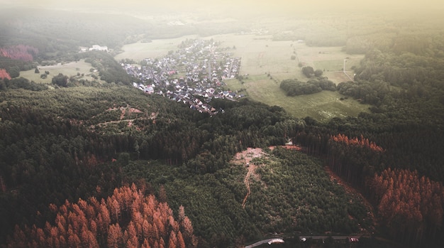 Free photo aerial view of the rural houses among the dense forest