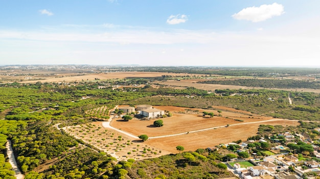 Aerial view to rural landscape and crops field