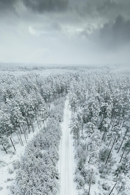 Free photo aerial view of the snow-covered road in the forest on a winter day