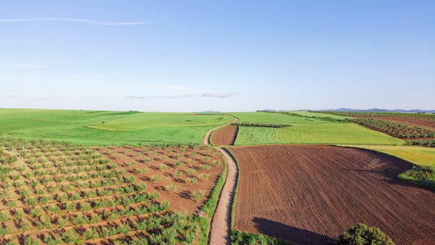 Free photo aerial view of vast farmland with a country road on the middle