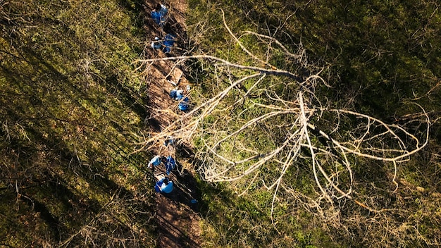 Free Photo aerial view of volunteers doing litter cleanup in a forest area